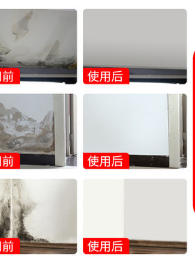 补墙膏墙面修补家用腻子粉墙面翻新补墙神器白色耐水防水防潮防霉