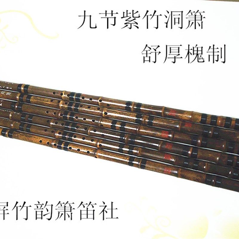 玉屏箫新款笛舒厚槐制九节紫竹洞箫初学入门八孔六孔箫乐器演奏萧
