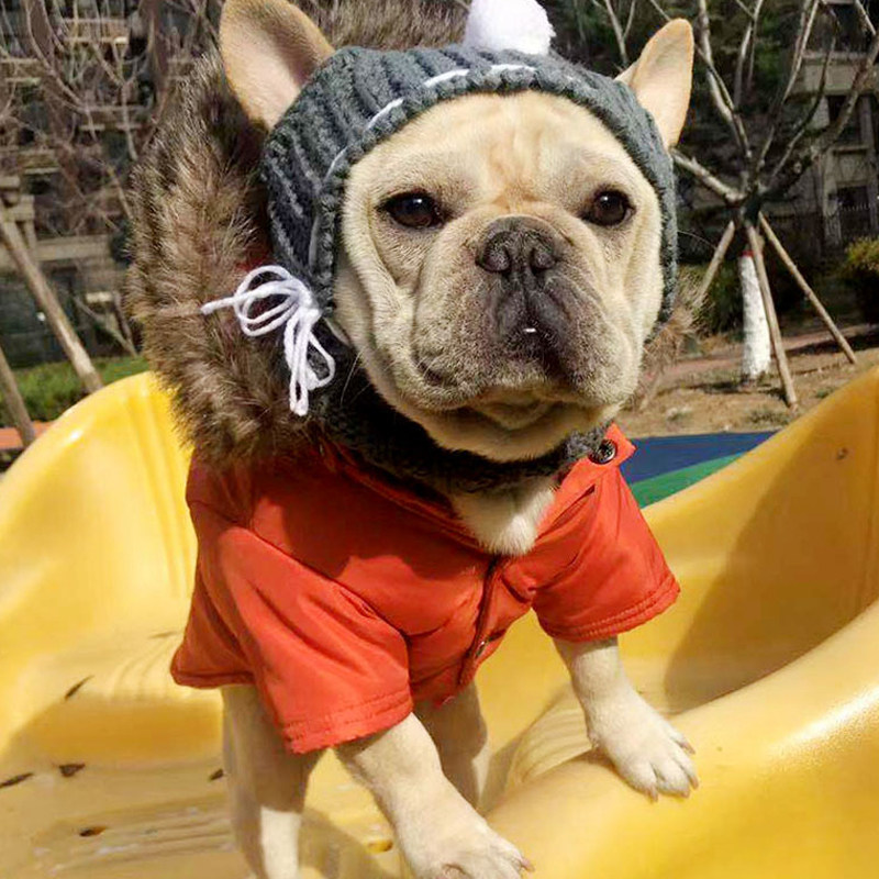 法斗帽子秋冬毛线围脖八哥防寒针织帽子狗狗柴犬冬季柯基头套围脖