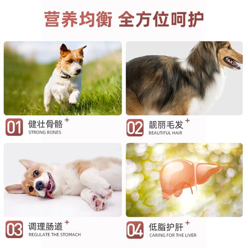 普贝斯狗狗牛肉罐头成幼犬易消化营养全价主食粮
