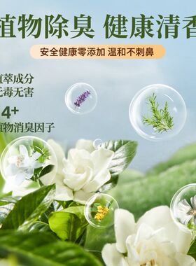车内除异味新车除甲醛专用空气清新剂汽车除臭车用强力车载净化器