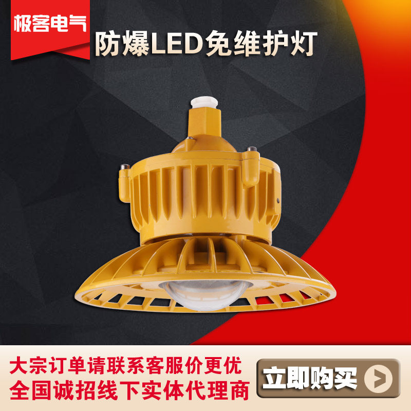 防爆免维护灯LED隔爆车间工厂房照明灯仓库灯防爆型灯罩加油站灯