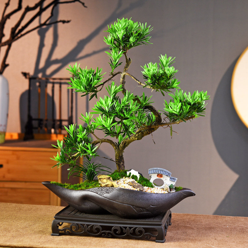 造型罗汉松盆景室内植物桌面观赏中式绿植盆栽办公好养摆件送礼