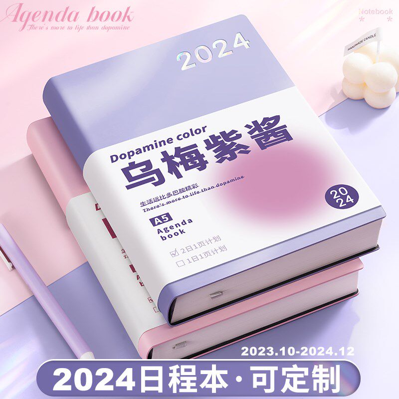 2024年日程本计划表新款笔记本子工作日志23年记事日记日历一日一