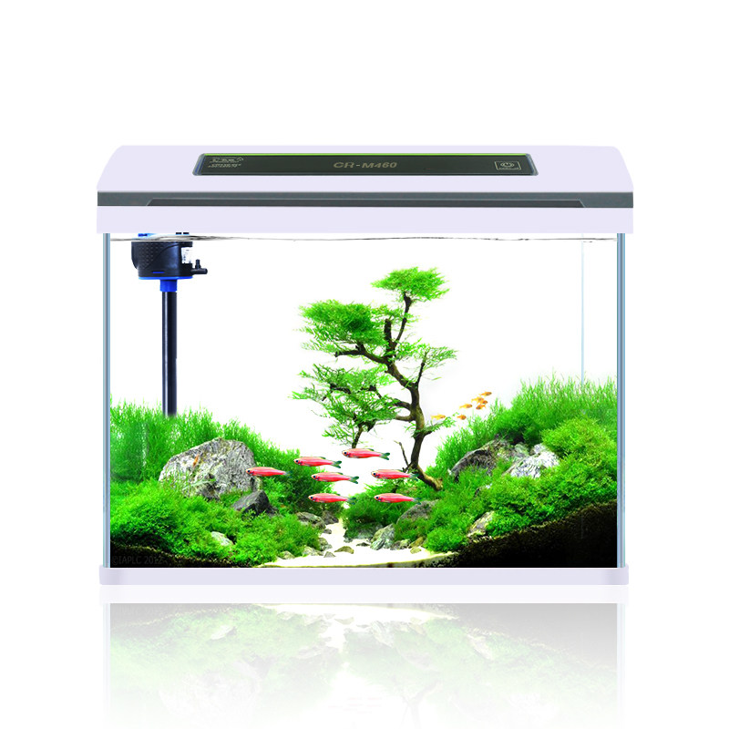 超白玻璃鱼缸客厅中小型家用生态智能桌面懒人免换水全自动水族箱