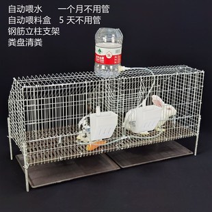 志昂兔笼两笼位加粗加密獭兔笼母兔产仔母兔笼兔兔配对养殖育肥笼