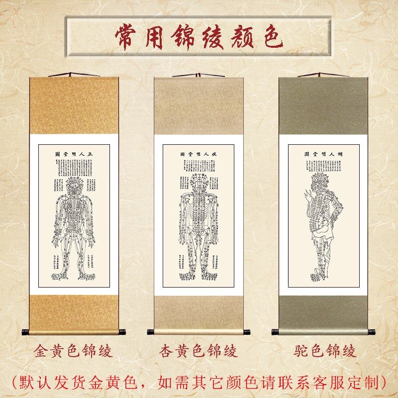中医养生馆装饰画经络经脉穴位图正人伏人侧人脏腑明堂图高清卷轴