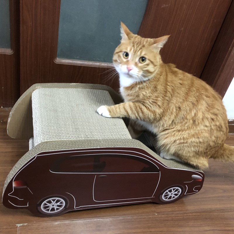 得酷猫抓板猫窝耐磨耐抓不掉屑特大号立体动物巴士汽车猫纸箱房子图片