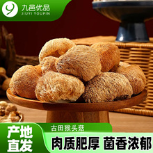 九邑优品古田特产猴头菇干货80g