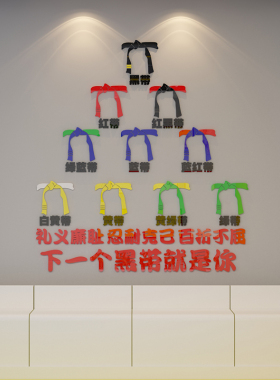 跆拳道文化墙贴背景拳击馆武馆健身房墙壁装饰贴纸励志亚克力贴画