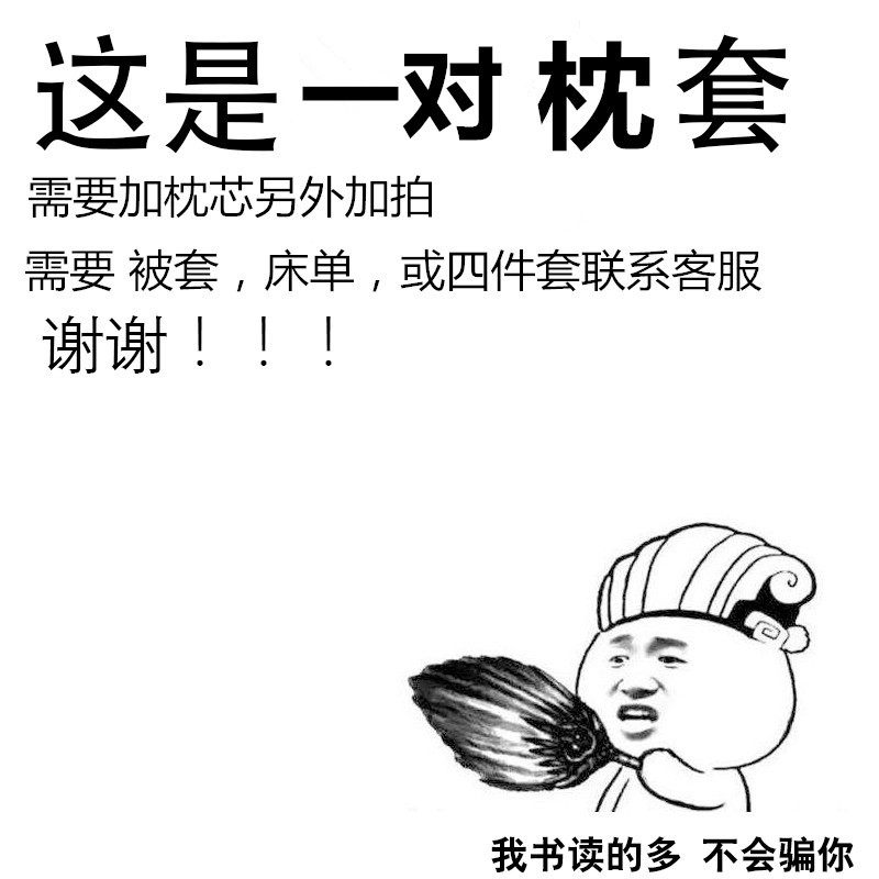 网红文艺范创意情侣床上用品印图大枕套48X74学生枕头罩一对枕袋