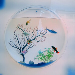 特色小型迷你水族箱亚克力挂壁饰鱼缸办公室客厅壁挂水培草缸花瓶