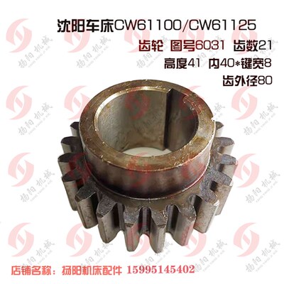沈阳机床/大连 CW61100/CW61125溜板箱齿轮6031 孔40*8/齿21/L412