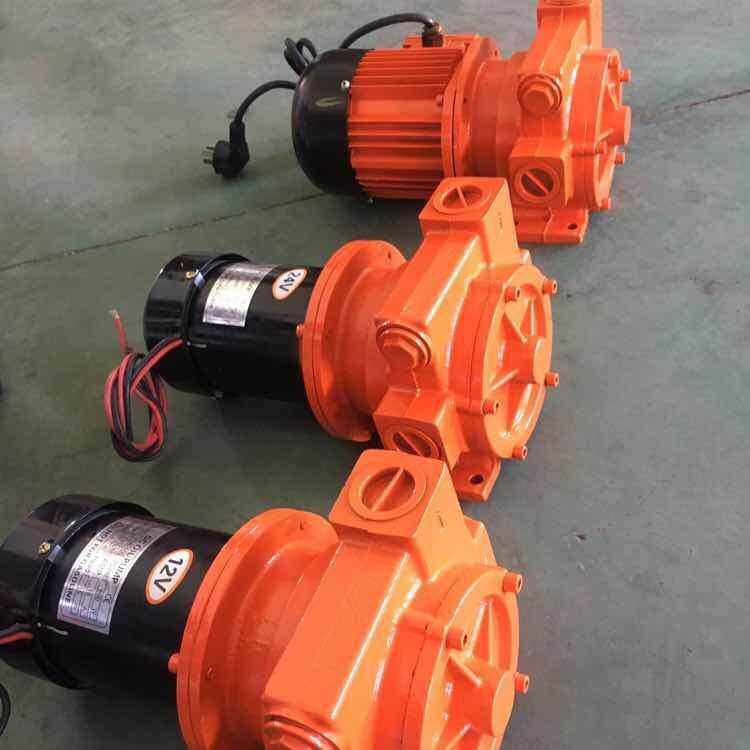 直流DC24V1寸大头齿轮减速大流量12V车载加油机柴油泵ac220V