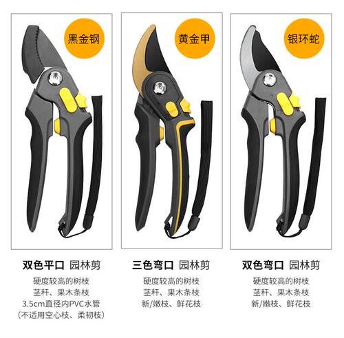 修剪树枝园林花艺剪花枝果剪刀修枝果树强力剪大粗枝省力家用剪子