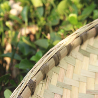 四川竹编圆簸箕竹匾竹筛无孔簸箕纯手工家用晾晒干货加固大竹簸箕