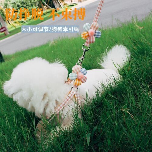 狗狗牵引绳小型犬胸背带可爱夏季宠物猫咪外出遛猫遛狗绳泰迪比熊