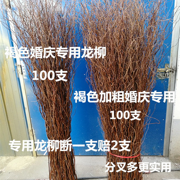 褐色龙柳干枝婚庆拱门树枝 装饰花玄关隔断原色棕色带皮天然龙柳