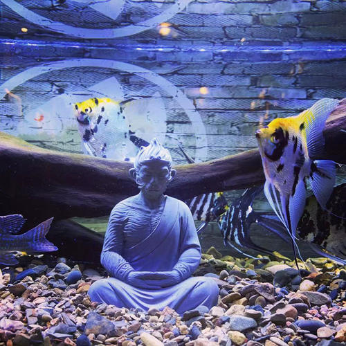 鱼缸造景装饰水泥佛像中式水族仿石像孙悟空装饰人物流水沉水摆件