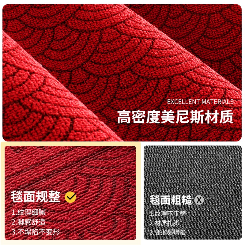 入户门地垫进门地毯2024新款大门门口耐脏免洗高级感垫子玄关脚垫