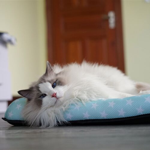 宠物垫狗狗垫子四季通用小型中型大型犬狗猫咪窝垫笼子垫地垫防潮