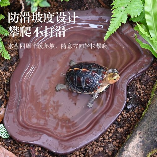 酷爬黄缘乌龟泡澡盆龟箱爬宠造景饮水盆喂食盆半水龟分体式洗澡盆