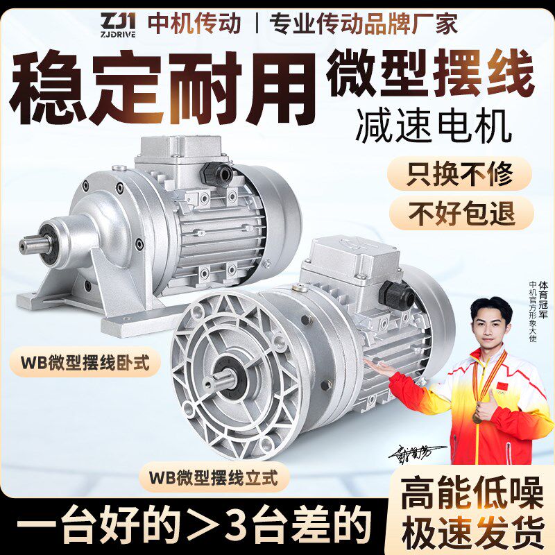 WB微型摆线针轮减速机WB100/65小型立式卧式减速电机变速箱齿轮箱
