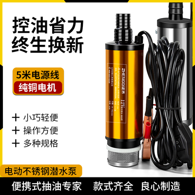 12V电动抽油泵 汽油柴油通用 便携式抽水泵