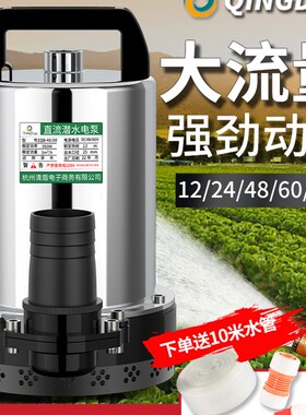 直流潜水泵12V24V48V60V水泵电动车电瓶抽水机高扬程不锈钢抽水泵