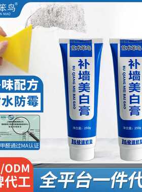 白色家用腻子膏 防水补墙膏墙面修补膏净味环保补漆代工
