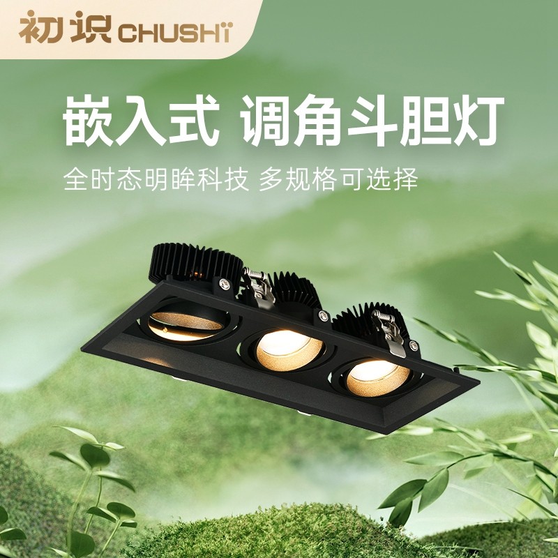 初识照明 射灯嵌入式led斗胆灯双头三头黑色格栅灯可调角度天花灯