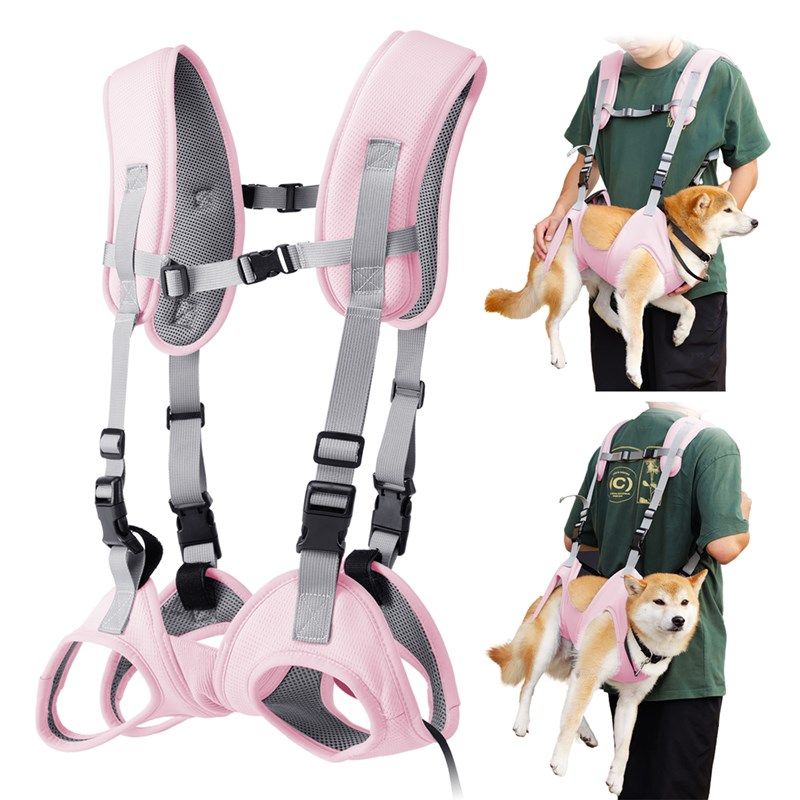 狗狗外出便携双肩背包宠物背包中小型犬胸前背狗包透气猫包可调节