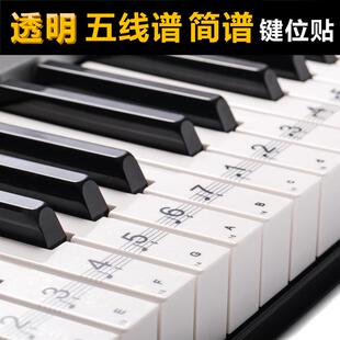 送黑键贴88-61-54 彩色五线谱简谱键位贴 电子琴琴贴钢琴键盘贴纸