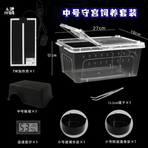 守宫饲养盒中号爬虫爬宠蜘蛛蝎子蜥蜴乌龟角蛙饲养盒套盒加热垫
