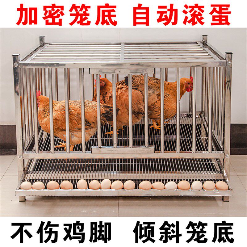 下蛋鸡笼家用养殖母鸡笼特大号鸡舍阳台养鸡圈户外多层不锈钢笼子