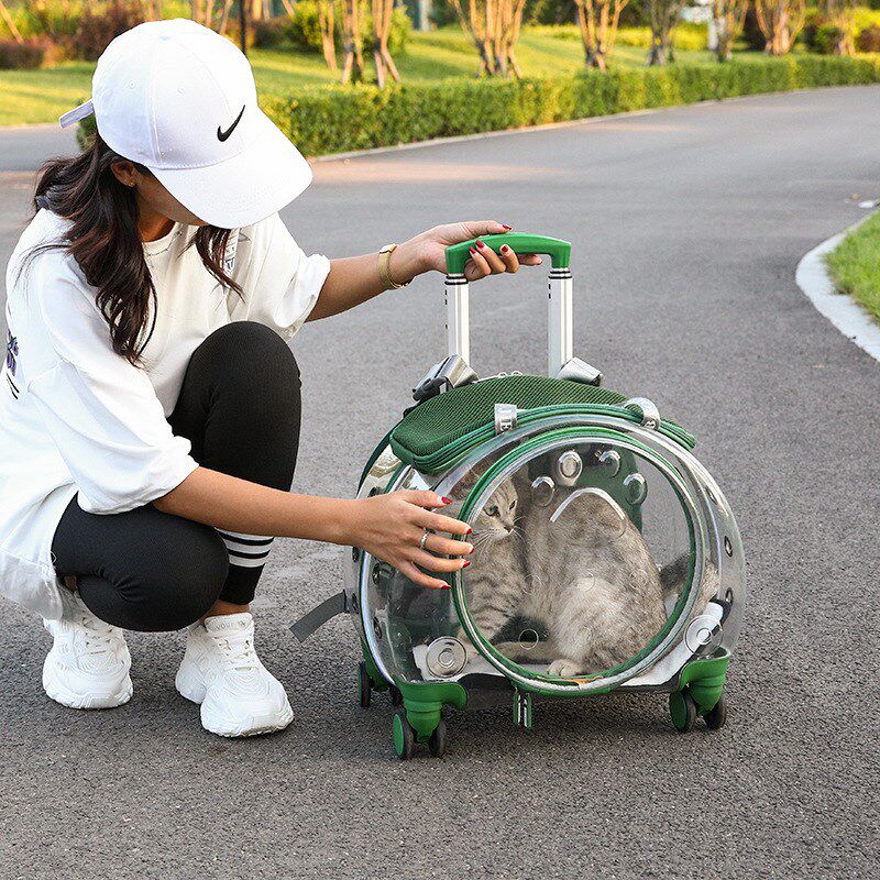 前盖透明宠物拉杆箱猫咪外出便携狗行李箱粉色猫包航空箱太空箱