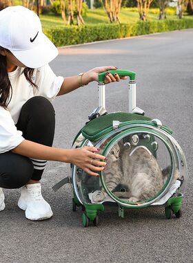 前盖透明宠物拉杆箱猫咪外出便携狗行李箱粉色猫包航空箱太空箱
