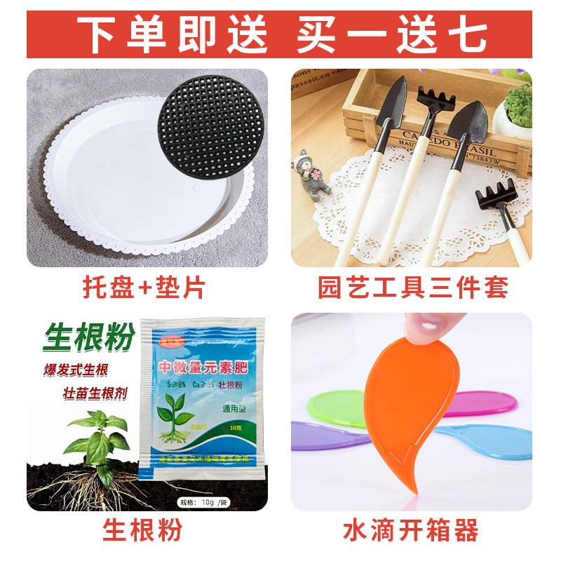 北欧风简约陶瓷散尾葵幸福树专用大花盆别墅客厅高筒落地绿植包邮