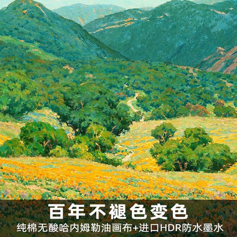 风色加州南部山水风景油画美式欧式玄关走廊餐厅客厅挂画装饰画