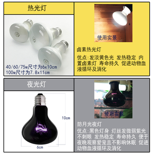 包邮保温灯罩鹦鹉鸟类保温灯罩养殖取暖灯泡红外线加热灯鸟笼群笼