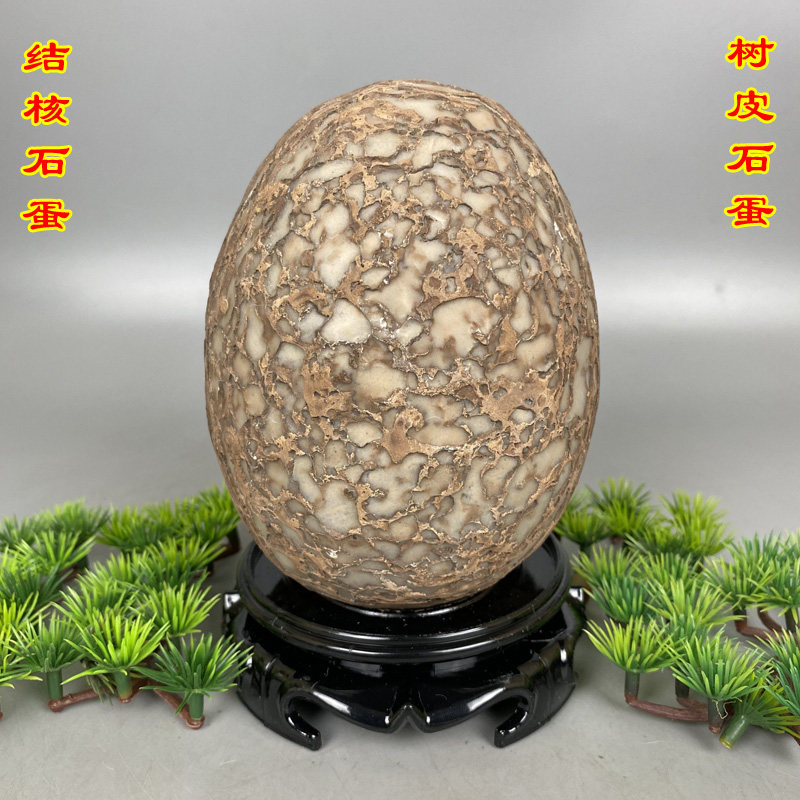 天然结核纹石蛋树皮石蛋恐龙石蛋原石摆件观赏石奇石收藏他山石头