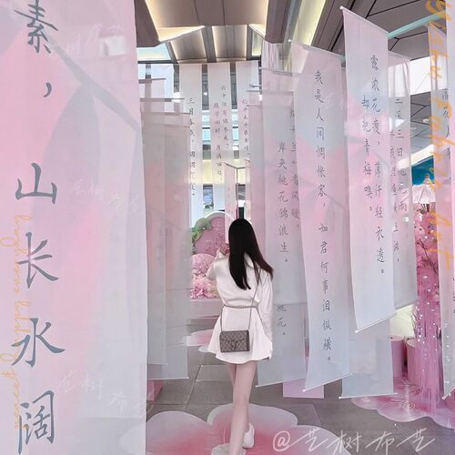 国风粉色书法半透纱定制 新中式桃花纱幔飘纱屏风纱装饰庭院布置