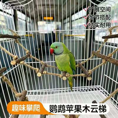 天然苹果木树枝云梯玩具宠物爬梯玩具鸟笼攀爬云梯小鸟玩具
