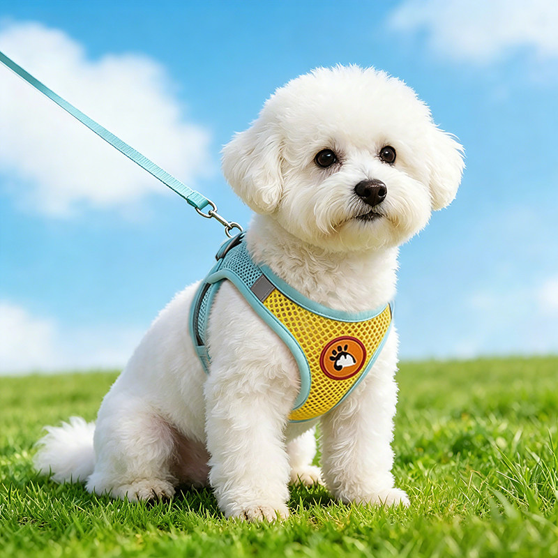 狗狗牵引绳胸背带中小型犬小狗博美泰迪宠物狗链子遛狗绳狗牵引绳