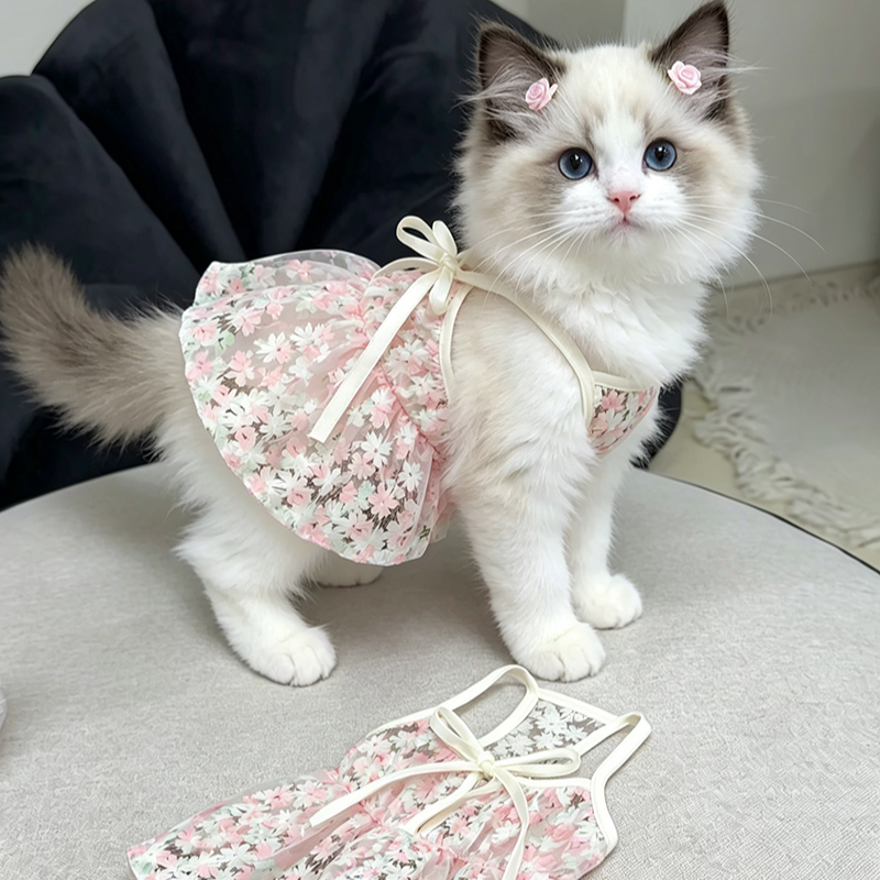 宠物猫咪吊带裙立体刺绣樱花可爱衣服狗狗猫咪公主风金渐层比熊犬图片