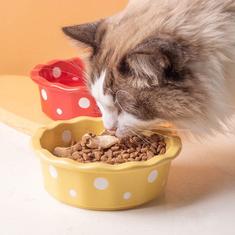猫碗陶瓷幼猫食盆波点罐头吃饭猫咪喝水碗宠物零食小狗狗碗猫粮碗图片