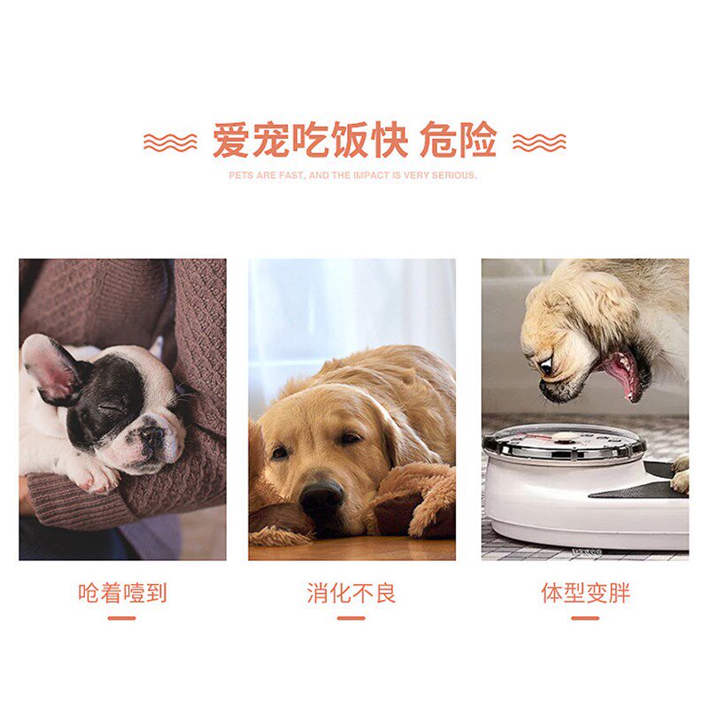 宠物碗慢食碗防滑防噎食盆金毛泰迪狗狗缓食碗食盒小型犬学食盘猫