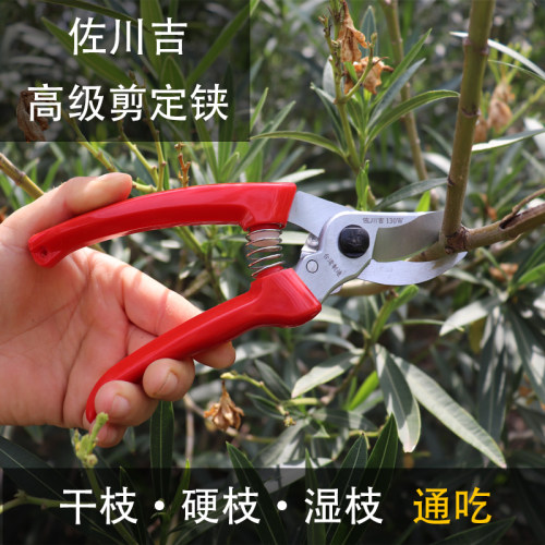 果树修枝剪园林剪刀绿化剪树枝剪枝工具园艺剪子手工剪花剪花卉剪