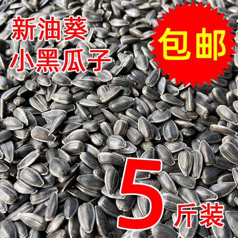 黑珍珠小瓜子葵花籽油葵籽鹦鹉鸟食鹦鹉鸟粮 鹦鹉鸟食鸟饲料 5斤