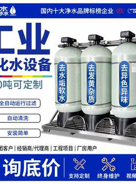 工业全自动软化水设备钠离子反渗透交换器地下水锅炉除水垢软水机